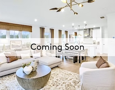 Ansley Towns Ansley Towns