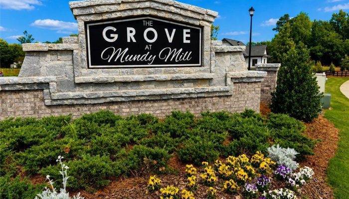 Image of The Grove at Mundy Mill