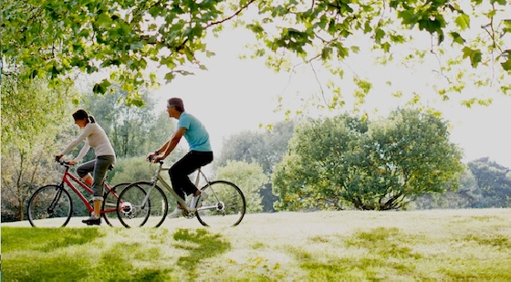 New Townhomes in Wills Overlook