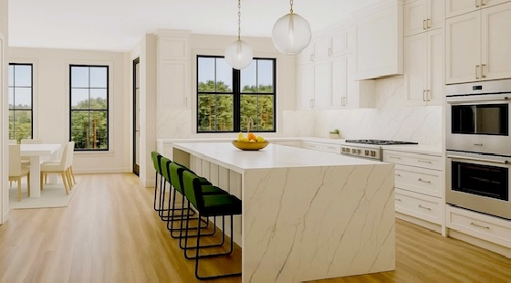 New Townhomes in Wills Overlook