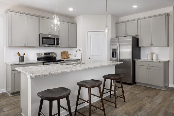 New Homes in Gainesville, Georgia built by Dream Finders Homes in the New Home Community of The Grove at Mundy Mill!