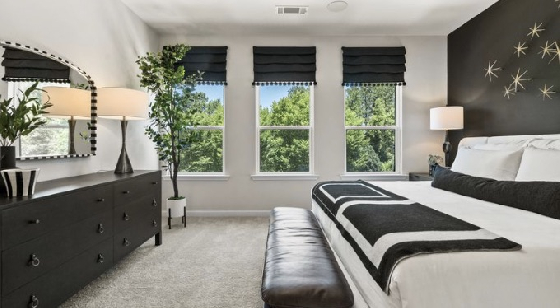 New Townhomes in Alder Creek!