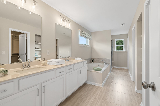 New Homes in Bridgeview!